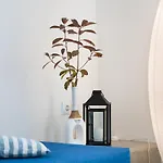Villa Punda Paros