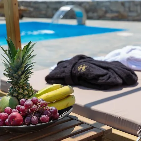 Punda Paros Villa Piso Livadi